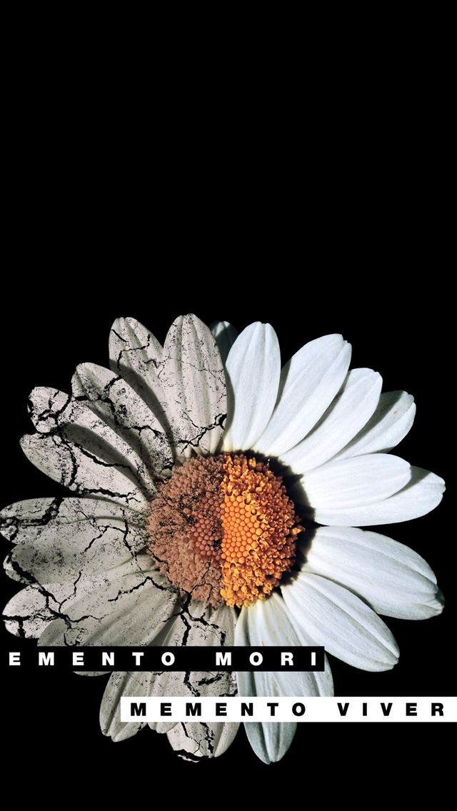 1125x2436 memento - memento iPhone Wallpaper