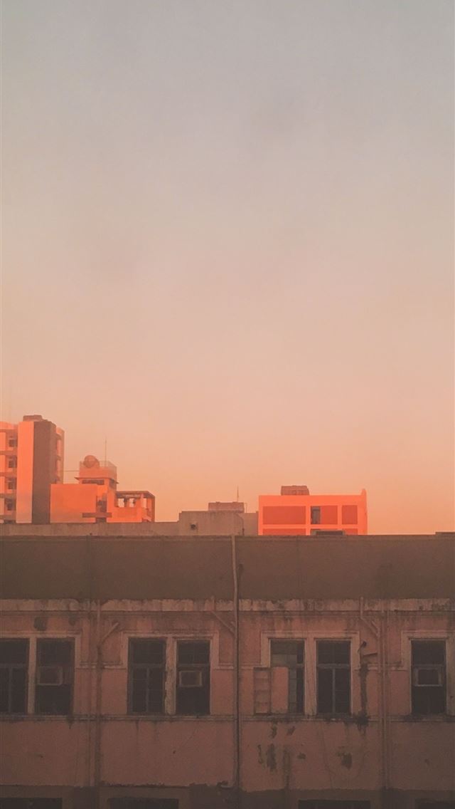 1284x2778 manila - manila iPhone Wallpaper