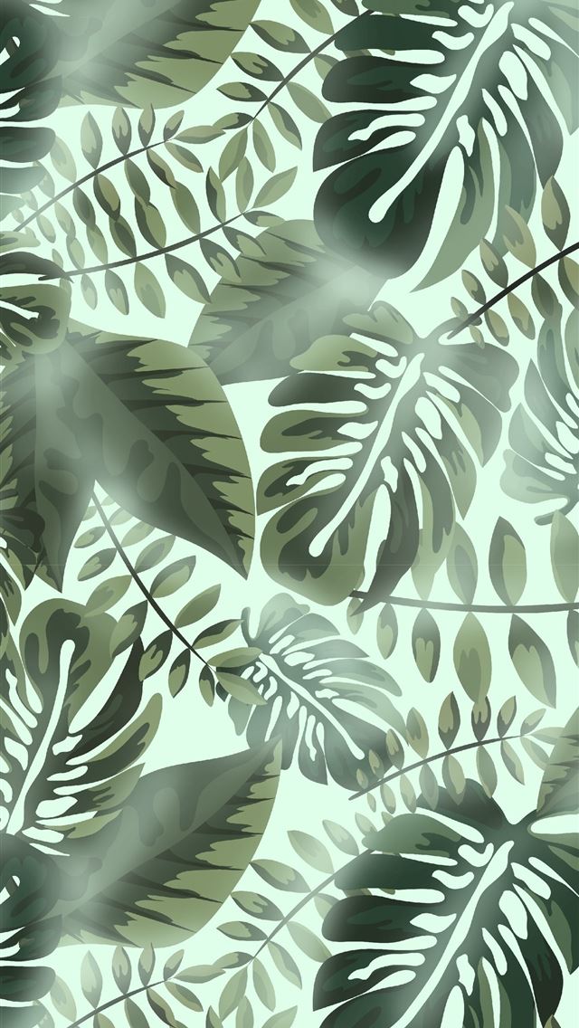 1284x2778 medellin - medellin iPhone Wallpaper