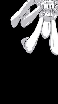 racing flag wallpaper