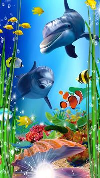 oceanic dolphins wallpaper