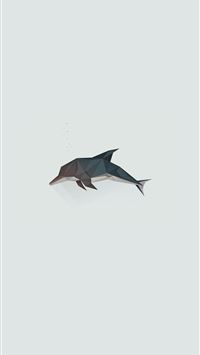 oceanic dolphins wallpaper
