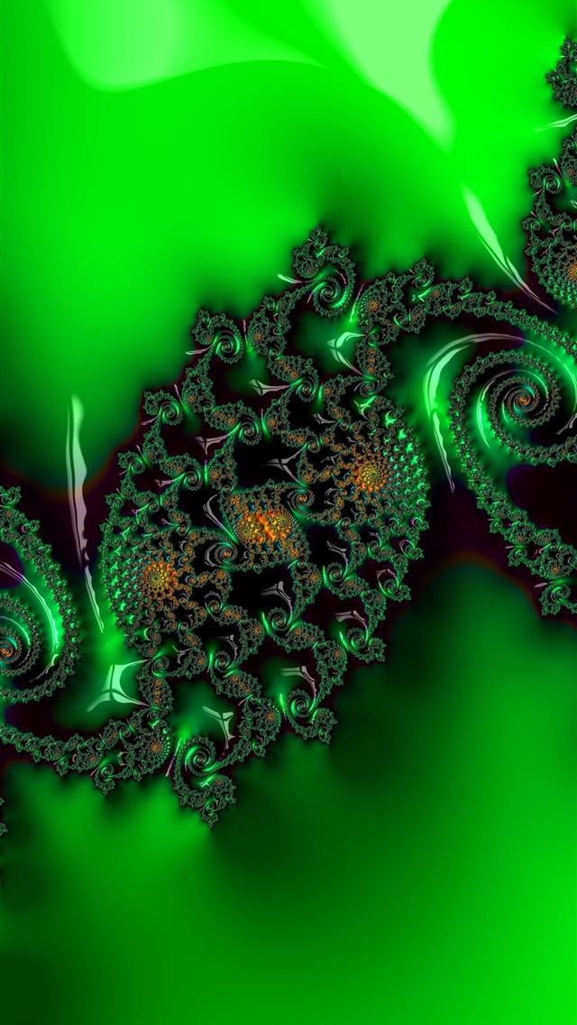 1284x2778 salamanders - salamanders iPhone Wallpaper