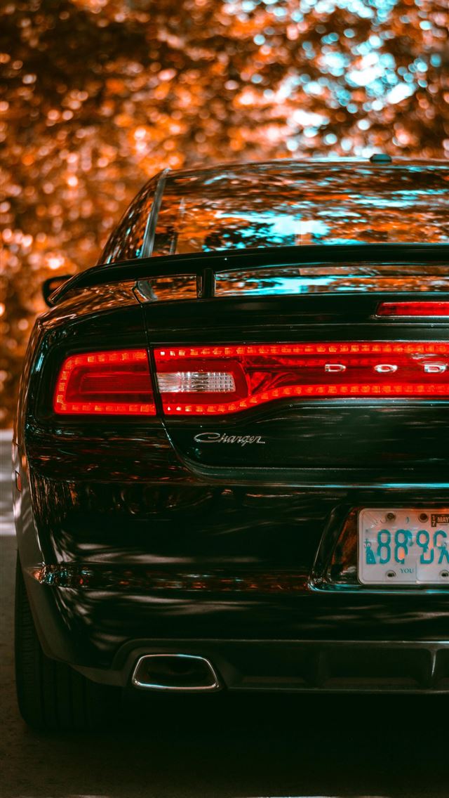 1284x2778 dodge daytona - dodge daytona iPhone Wallpaper