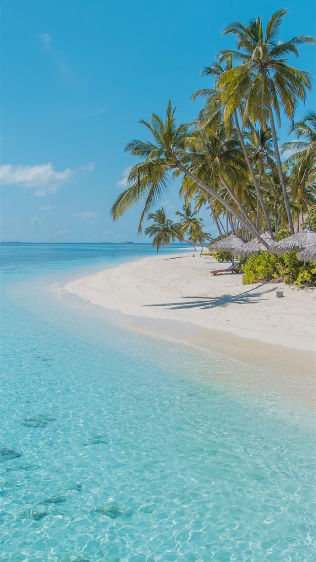1284x2778 barbados - barbados iPhone Wallpaper