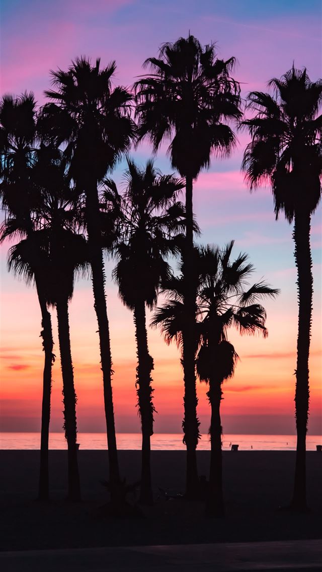 1284x2778 barbados - barbados iPhone Wallpaper