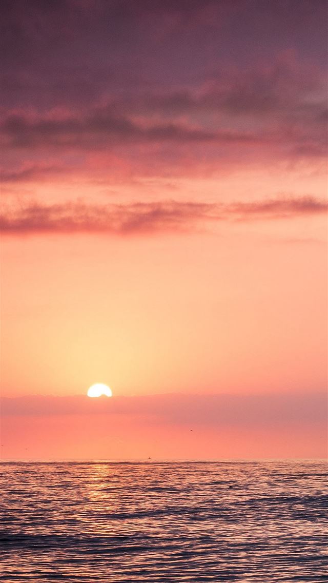 1284x2778 barbados - barbados iPhone Wallpaper