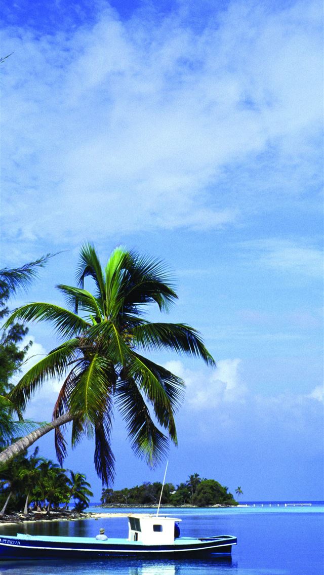 1284x2778 honduras - honduras iPhone Wallpaper