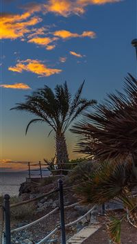 canary islands wallpaper