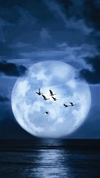 super blue blood moon wallpaper