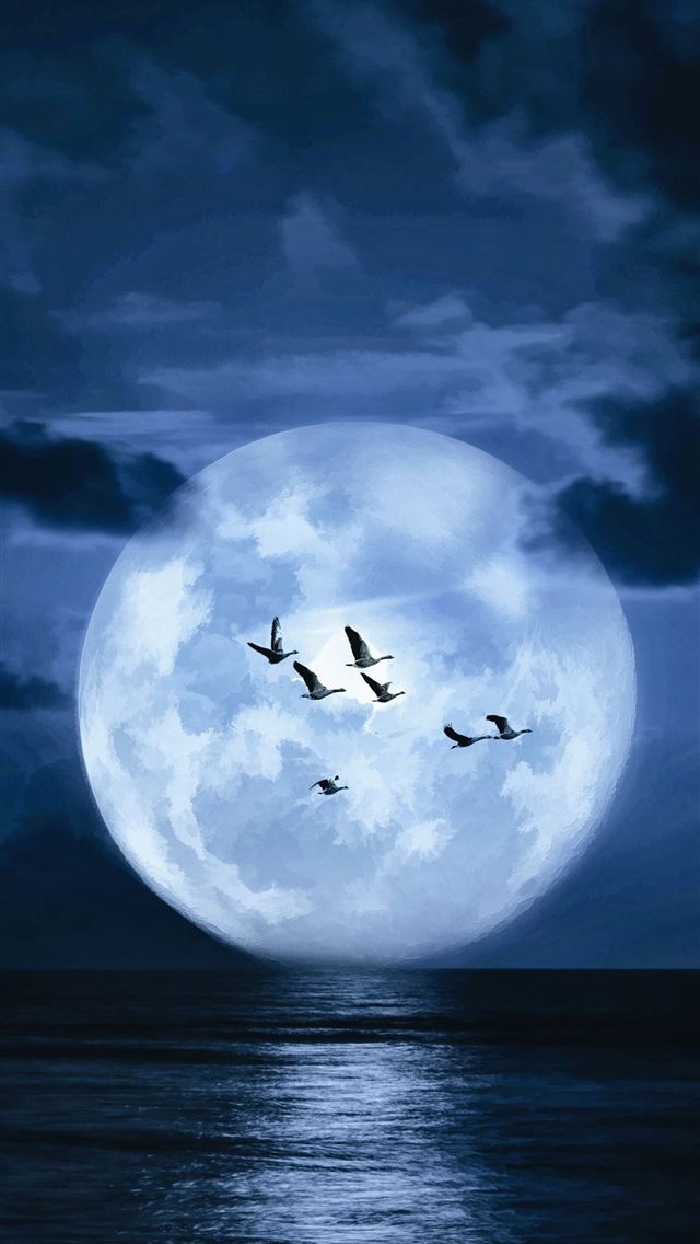 1284x2778 super blue blood moon - super blue blood moon iPhone Wallpaper