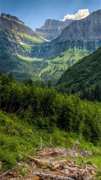 glacier bay national park and preserve wallpaper