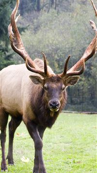 glacier bay national park and preserve wallpaper