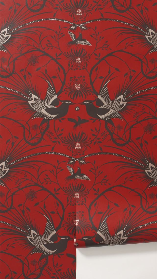 1284x2778 ajax amsterdam - ajax amsterdam iPhone Wallpaper