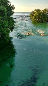 riviera maya wallpaper