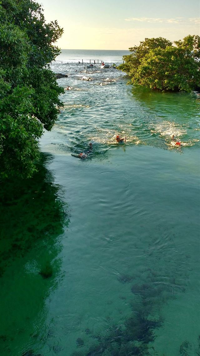 1284x2778 riviera maya - riviera maya iPhone Wallpaper