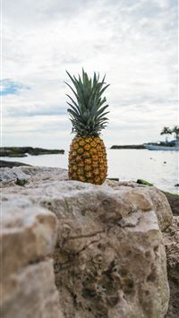 riviera maya wallpaper