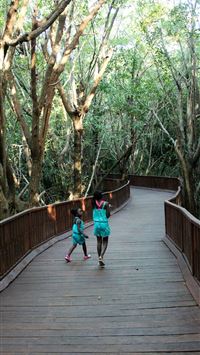 riviera maya wallpaper