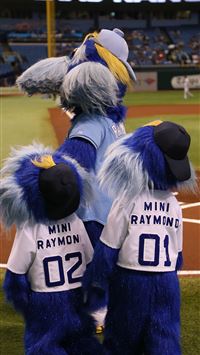 tampa bay rays wallpaper