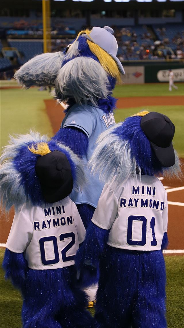 1284x2778 tampa bay rays - tampa bay rays iPhone Wallpaper
