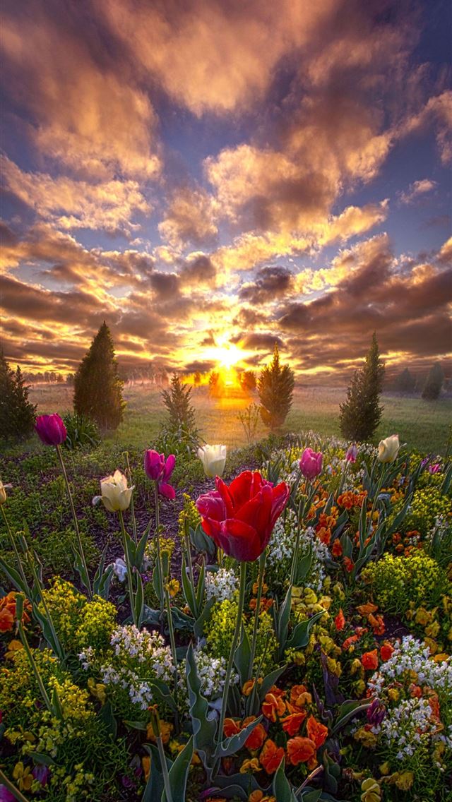 1284x2778 wisconsin - wisconsin iPhone Wallpaper