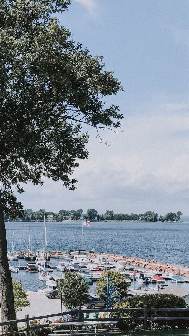 1284x2778 wisconsin - wisconsin iPhone Wallpaper
