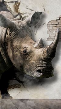 rhinoceros wallpaper