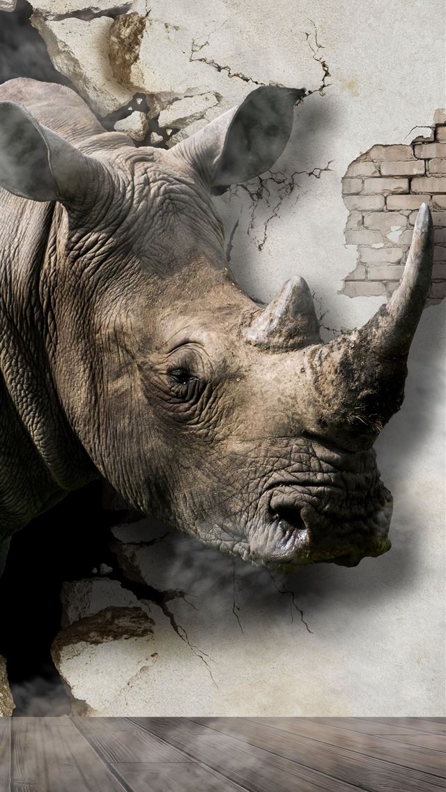 1284x2778 rhinoceros - rhinoceros iPhone Wallpaper