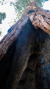 kings canyon national park wallpaper