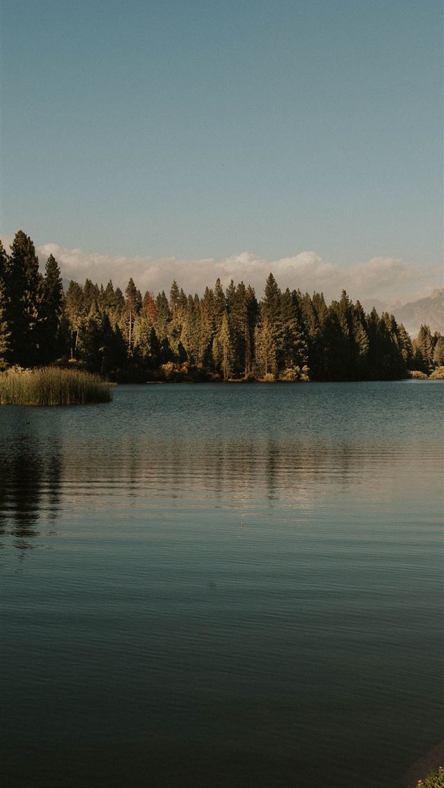 1284x2778 kings canyon national park - kings canyon national park iPhone Wallpaper