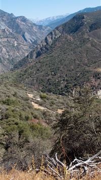 kings canyon national park wallpaper