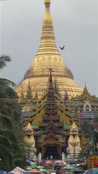 shwedagon pagoda wallpaper