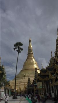 shwedagon pagoda wallpaper