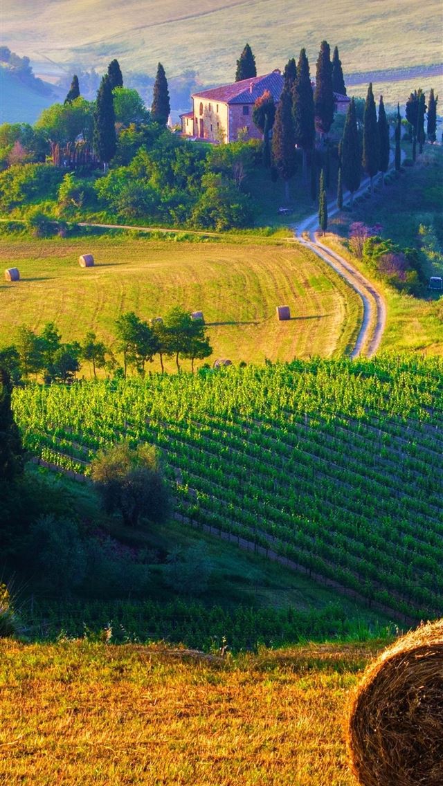 1284x2778 tuscan countryside - tuscan countryside iPhone Wallpaper