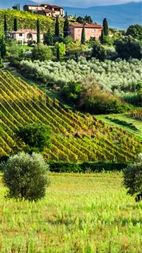 tuscan countryside wallpaper