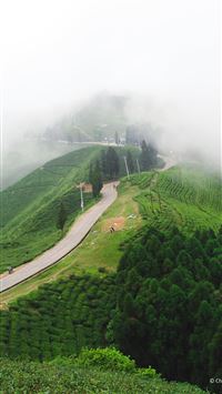 tuscan countryside wallpaper