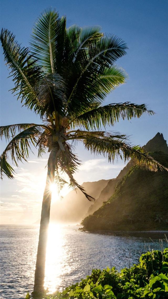 1125x2436 jamaica - jamaica iPhone Wallpaper