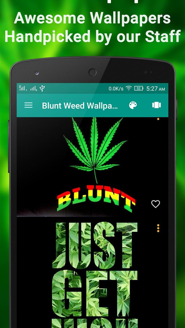 1284x2778 jamaica - jamaica iPhone Wallpaper