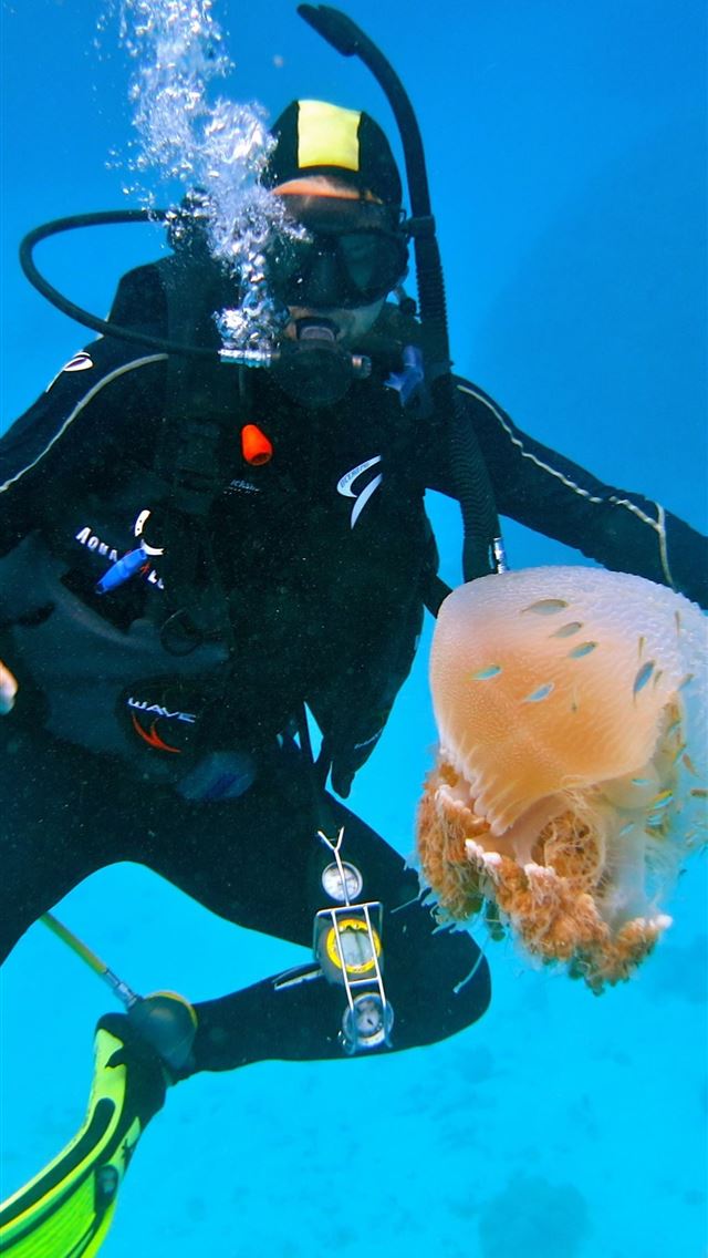 1284x2778 diving - diving iPhone Wallpaper