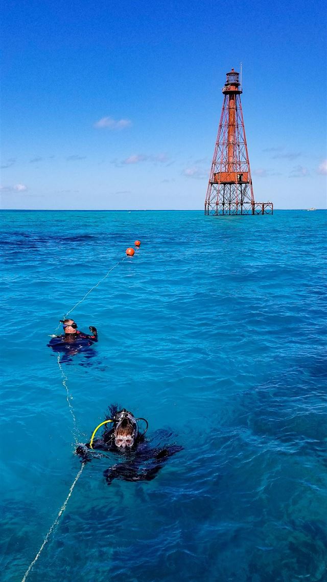 1125x2436 dry tortugas national park - dry tortugas national park iPhone Wallpaper