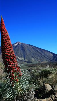 hawaii volcanoes national park wallpaper
