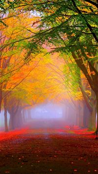 hawaii volcanoes national park wallpaper