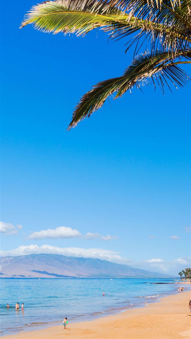 1284x2778 hawaii volcanoes national park - hawaii volcanoes national park iPhone Wallpaper
