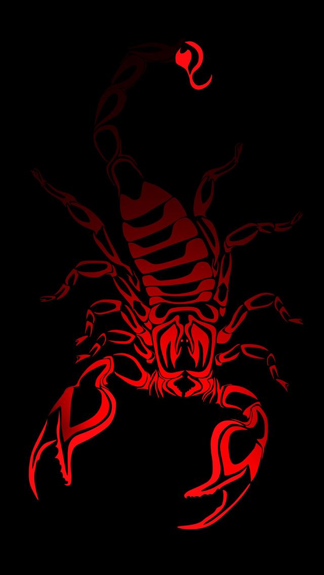 1284x2778 scorpion arachnids - scorpion arachnids iPhone Wallpaper
