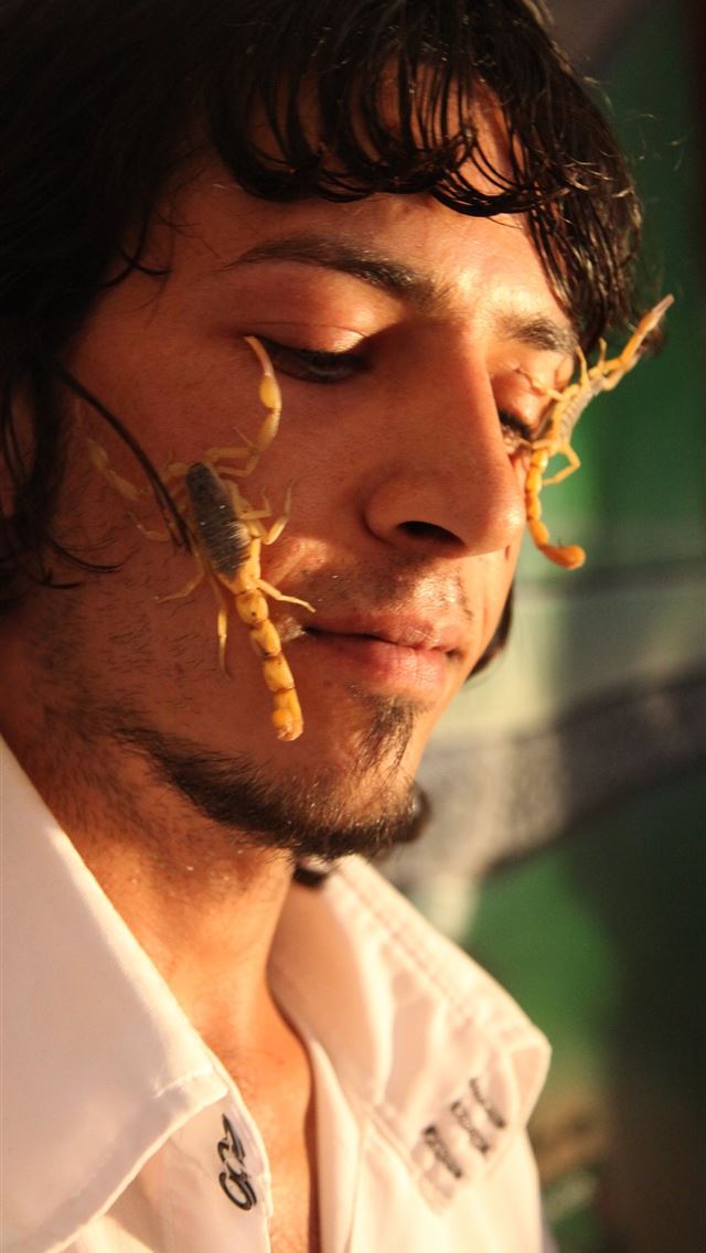 1284x2778 scorpion arachnids - scorpion arachnids iPhone Wallpaper