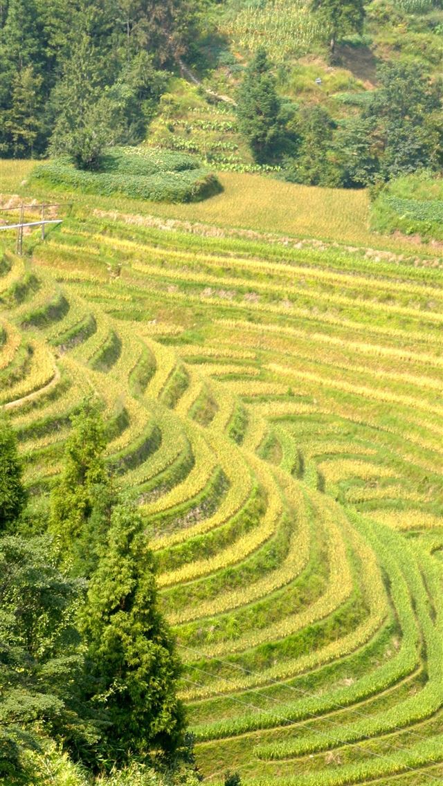 1284x2778 banaue - banaue iPhone Wallpaper