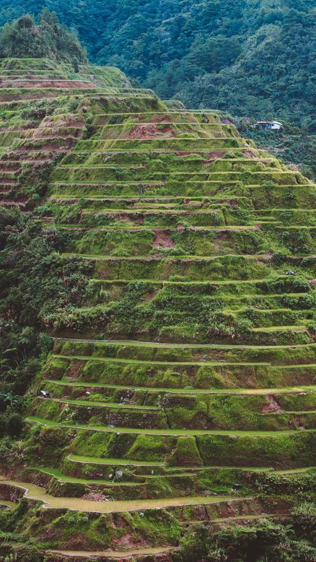 1284x2778 banaue - banaue iPhone Wallpaper