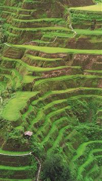 banaue wallpaper