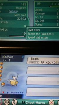 magikarp hd wallpaper