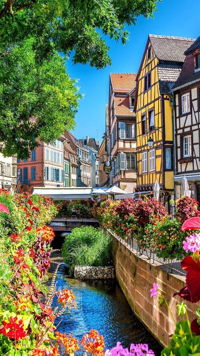 1284x2778 strasbourg - strasbourg iPhone Wallpaper